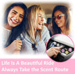 Load image into Gallery viewer, 6pcs Daisy Flower Air Vent Clips